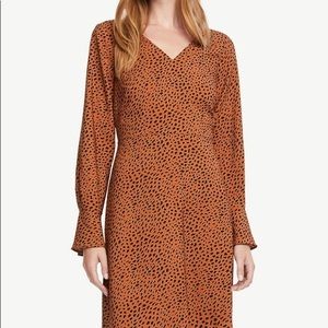 Ann Taylor Leopard Dress